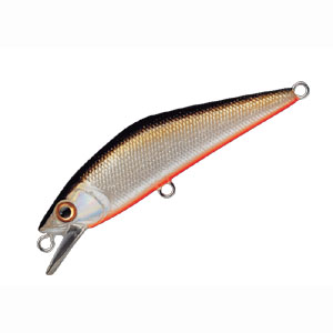 スミス SMITH スミス D-コンタクト 50mm TS 04