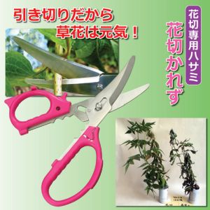 兼松工業 兼松工業 花切専用ハサミ 花切かれず 808338