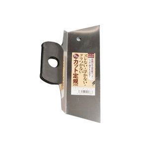 井上工具 INOUE 井上工具 13038 プロカット定規 200ｘ110mm