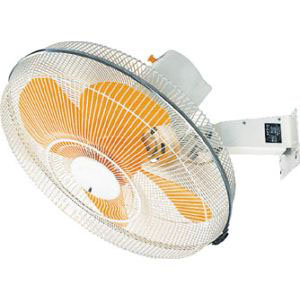 スイデン Suiden スイデン SF-60FN-2V ウォール扇1速式ハネ径60三相200V メーカー直送 代引不可 沖縄離島 個人宅不可