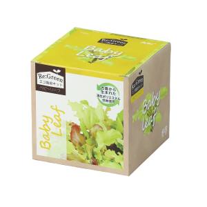 アーテック ArTec アーテック エコ栽培キット Re Green ベビーリーフ 102976