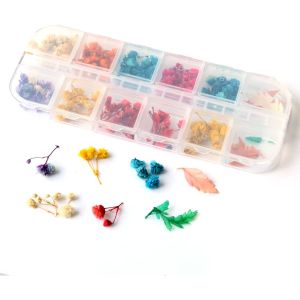 日本紐釦貿易 Nippon Chuko NBK ドライフラワー カスミ草アソート KE-FLO-C 日本紐釦貿易