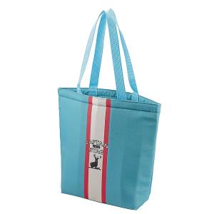 キャプテンスタッグ CAPTAIN STAG キャプテンスタッグ トートクーラーバッグ 6 ターコイズ レーシングストライプ UE-0676