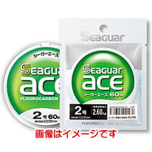 クレハ KUREHA クレハ シーガー エース 60m品 6号