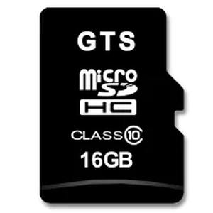GTS GTS GTS-microSD16GB-ha GTSドライブレコーダー用 16ギガメモリ