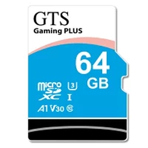 GTS GTS GS064N-ha GTSゲーム用メモリ 64ギガメモリ