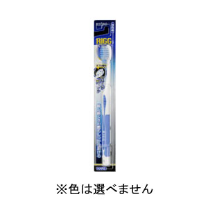 エビス EBiSU エビス B-A68 リグハブラシ かため