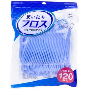 エビス EBiSU エビス まいにち フロス 120本入 B-D4681