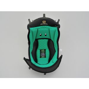 デイトナ DAYTONA デイトナ 94422 X802RR センターパッド カーボンフィッティング S (NOLAN補修品) DAYTONA