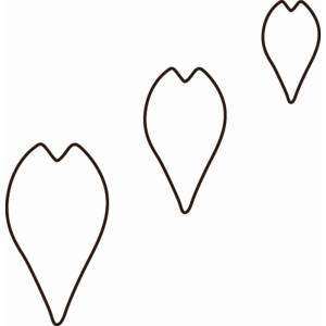 たかもり たかもり たかもりの 生抜 桜の花びら 中 2