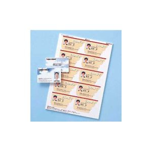 サンワサプライ SANWA SUPPLY カラーレーザー用名刺 (つやなし マット) LBP-MMC10N