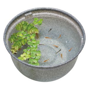 ジェックス GEX ジェックス メダカ元気 メダカのための飼育鉢 みかげ370 GEX