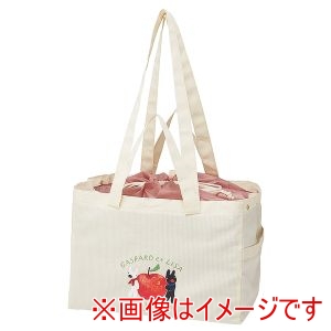 スケーター SKATER スケーター リサとガスパール サイドベルト付き レジカゴ バッグ KBR28