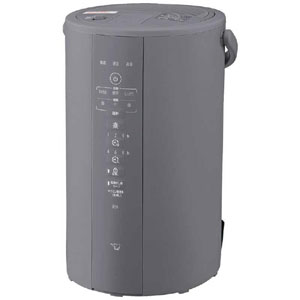 象印 ZOJIRUSHI 象印 ZOJIRUSHI EE-DF50-HA スチーム式加湿器 4.0L グレー