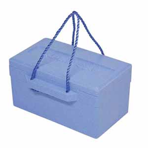 キャプテンスタッグ CAPTAIN STAG キャプテンスタッグ 発泡クーラーボックス18L M-8170