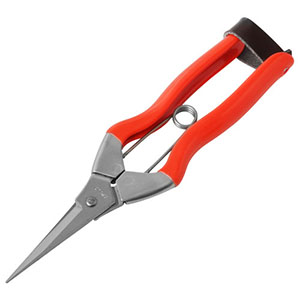 小林製鋏 Koshiji 小林製鋏 越路 ステンレス摘果鋏 185mm S-1